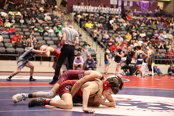 RAD53536