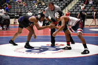 Fay v Springdale