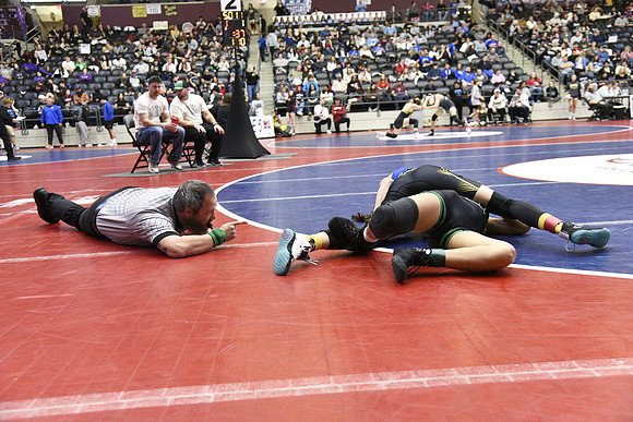 _DLP6735