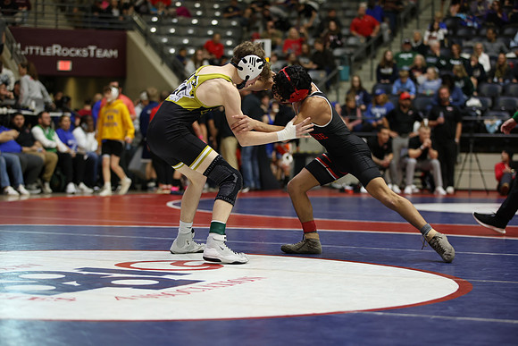 9Y6A7573