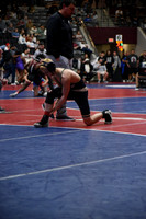 CJH_4473
