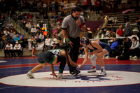 greenwood v van buren