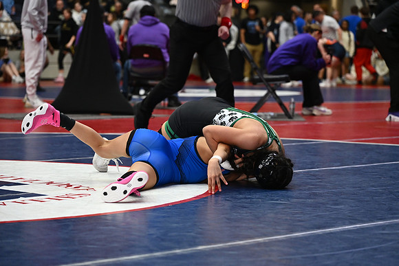 TED_0118