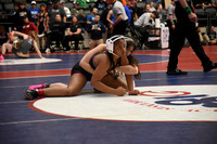 CJH_4329