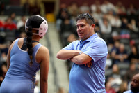 harber v cabot