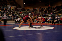 searcy v arkadelphia