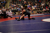 central v harber