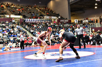 lake hamilton v beebe