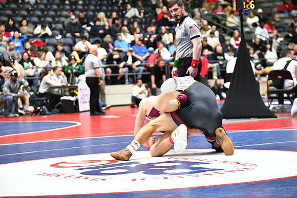DSC_8752