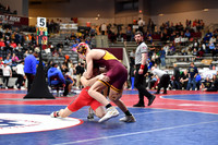 DSC_1436