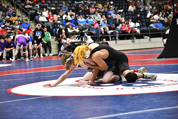 DSC_7884