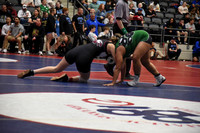 CJH_4376