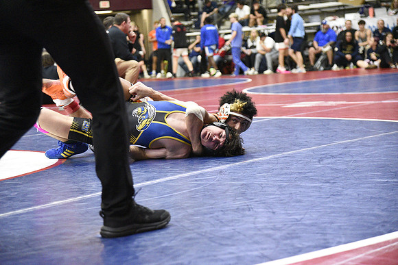 _DLP8121