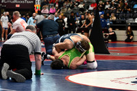 TED_8636