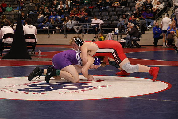 MTIB4844