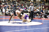 _DLP8226