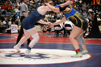 greenwood v sheridan