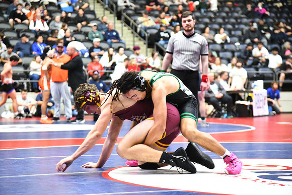 DSC_9099