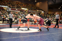 pottsville v gentry