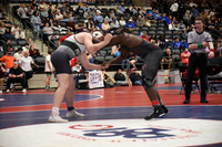 CJH_3534