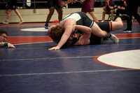 CJH_3528