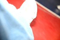 TED_8857