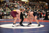 lake hamilton v beebe