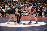CJH_4434