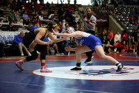 central v rogers