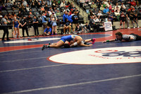 CJH_2638