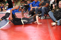 CJH_3638