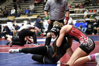 _DLP6830