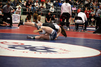 CJH_3587