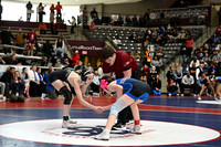 TED_0261