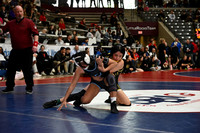 TED_0339