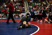 TED_0340