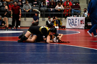 TED_0345