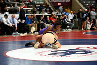 TED_0582