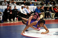 TED_0584