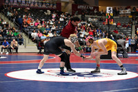 beebe v lake hamilton