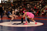beebe v pulaski
