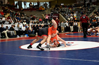 TED_1420