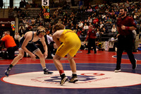 lake hamilton v greenwood