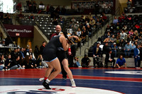 TED_0800