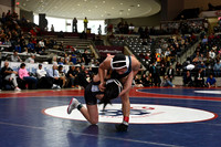 TED_0805