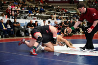 TED_0873