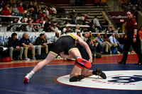 TED_1517