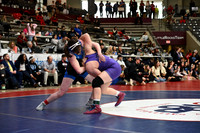 TED_0929