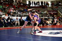 TED_0931