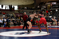 TED_0971